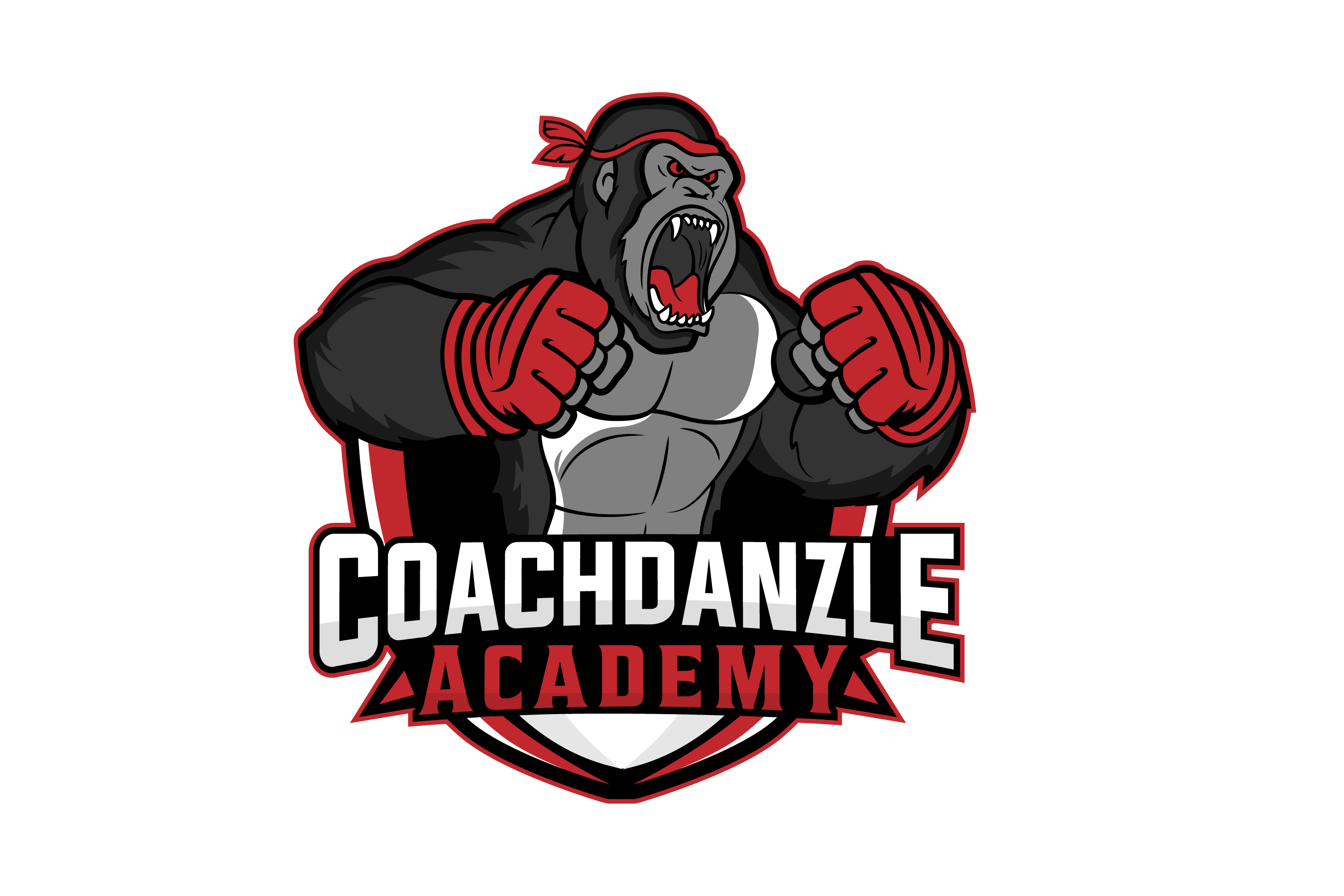 CoachDanzle Academy Logo