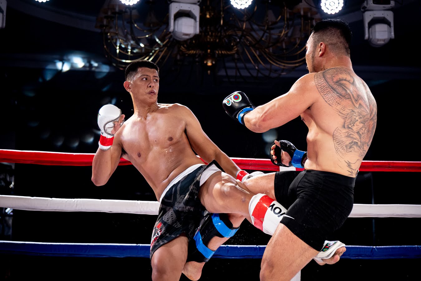 Cebu Fighting Ground: Why Konvoy Is the MMA Home Cebu Has Been Building Toward - cebu fighting ground